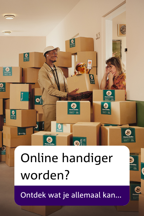 online handiger worden